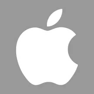 Apple gray logo