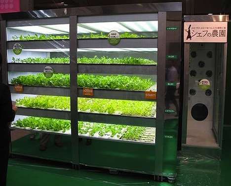 lettuce vending machine