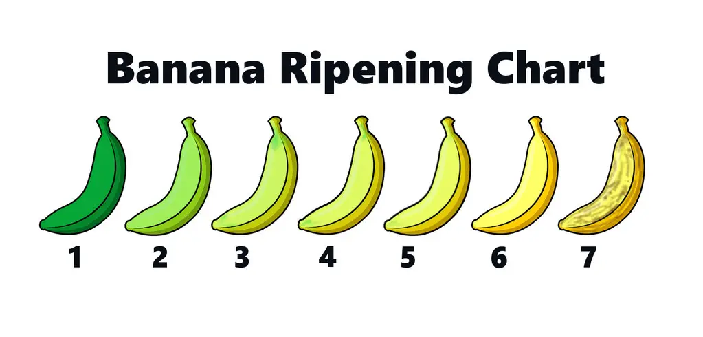 Banana Ripening Chart