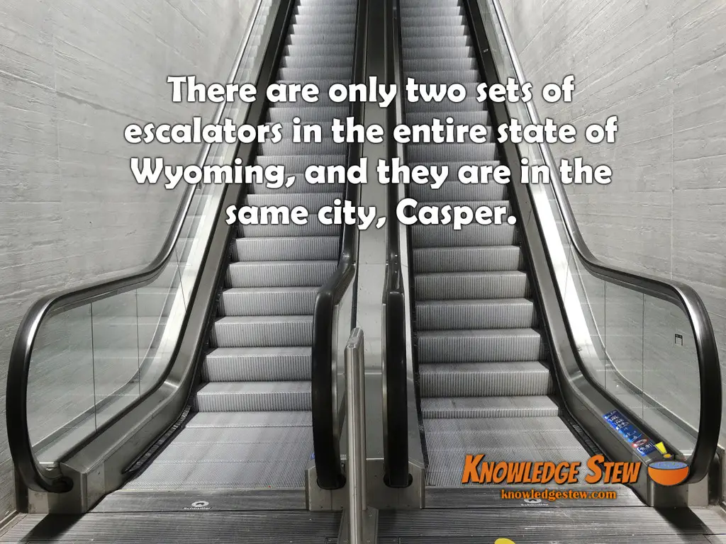 Wyoming escalators
