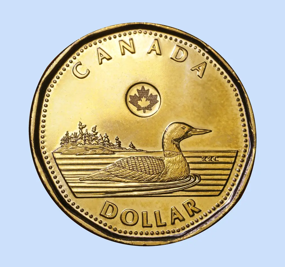 Canada's one-dollar coin, the loonie.