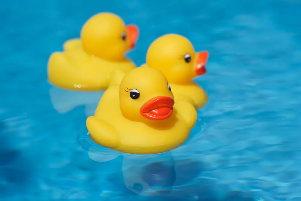 Rubber ducks in a pool