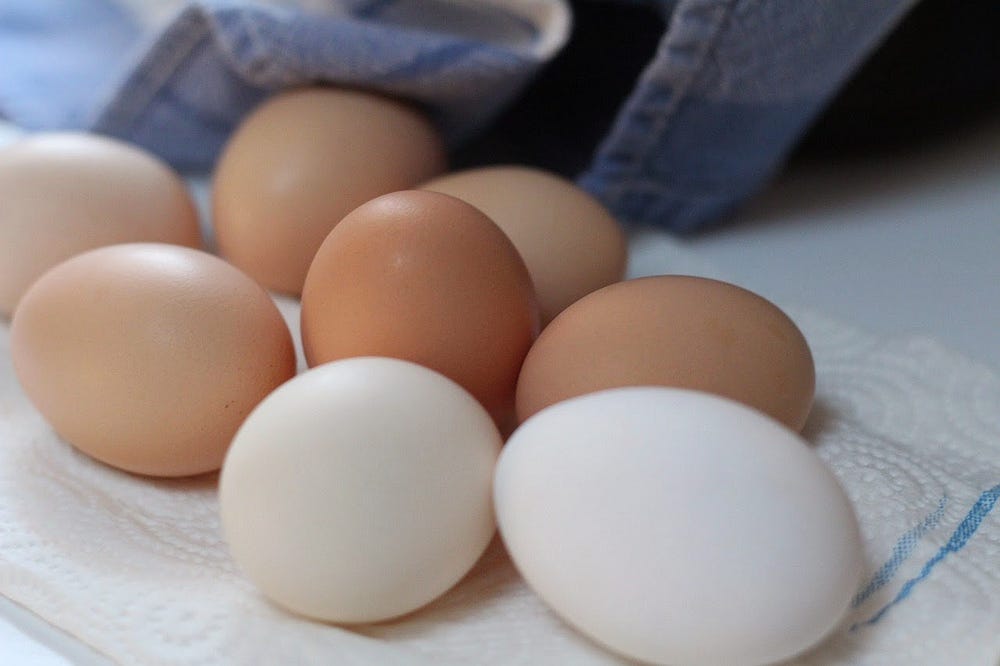 brown white eggs